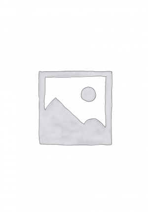 placeholder Placeholder